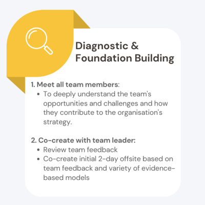 Diagnostic & Foundation Building (3)-1